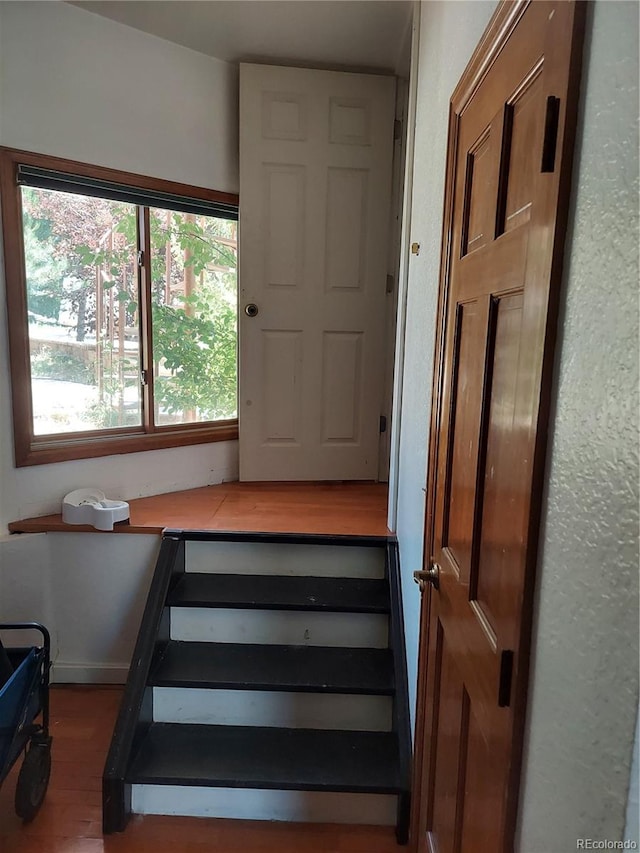 stairs with wood-type flooring