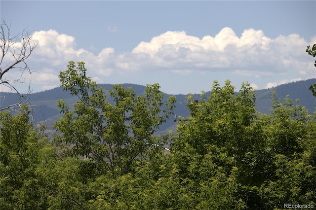 property view of mountains