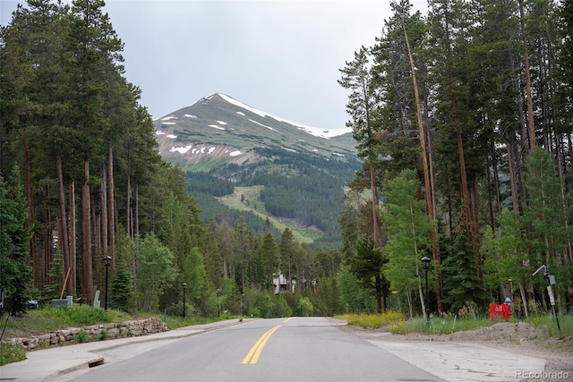 1100 Ski Hill Rd Unit 36, Breckenridge, CO 80424 - photo 29