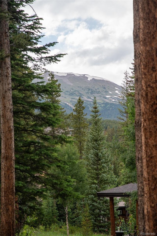 1100 Ski Hill Rd Unit 36, Breckenridge, CO 80424 - photo 30