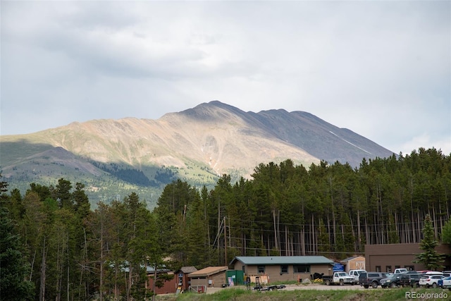 1100 Ski Hill Rd Unit 36, Breckenridge, CO 80424 - photo 33