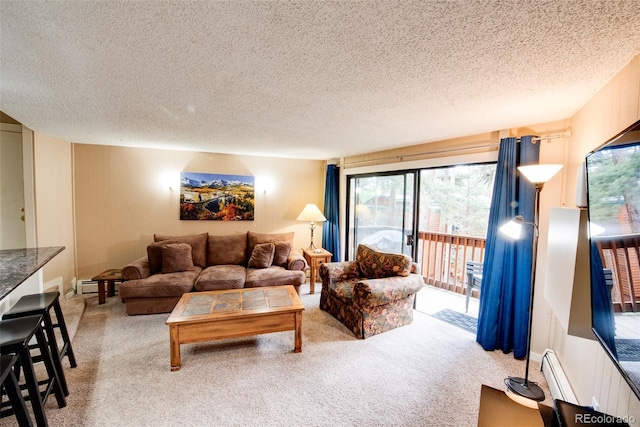 1100 Ski Hill Rd Unit 36, Breckenridge, CO 80424 - photo 9