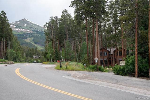 1100 Ski Hill Rd Unit 36, Breckenridge, CO 80424 - photo 32