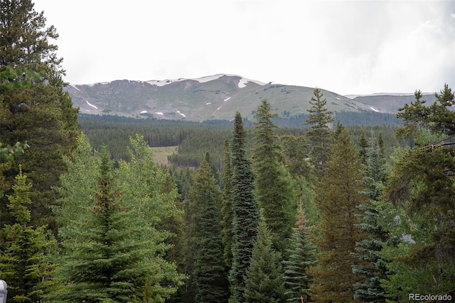 1100 Ski Hill Rd Unit 36, Breckenridge, CO 80424 - photo 34
