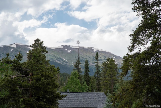 1100 Ski Hill Rd Unit 36, Breckenridge, CO 80424 - photo 35