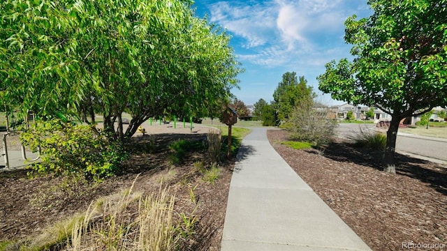6916 Crestop Pl Unit F, Parker, CO 80138 - view of property's community