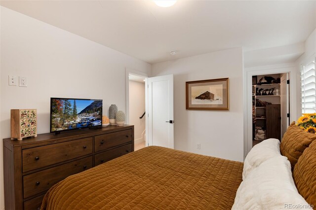 bedroom with a walk in closet