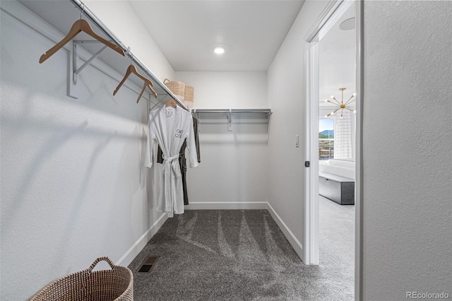 16498 W 92nd Pl, Arvada, CO 80007 - spacious closet featuring carpet flooring