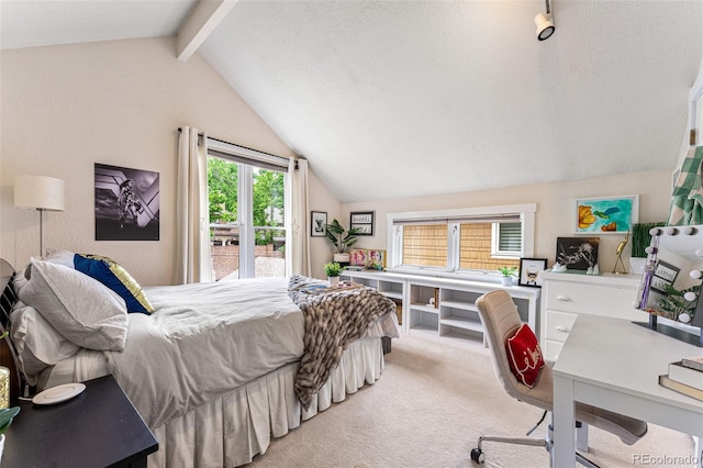 562 N Gilpin St, Denver, CO 80218 - photo 24