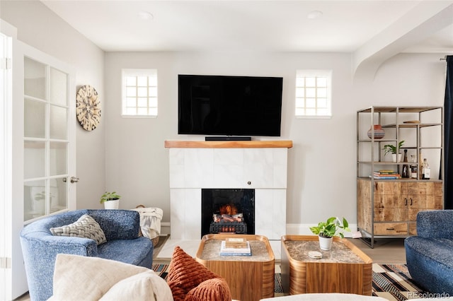 living room featuring a fireplace, a wealth of natural light, and wood-type flooring