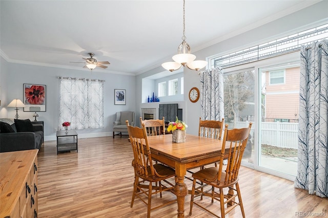 dining room with ceiling fan with notable chandelier, ornamental molding, and light wood-type flooring