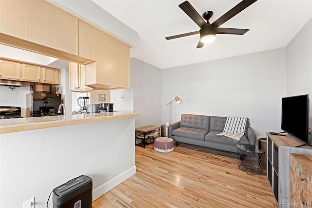 living room featuring ceiling fan and light wood-type flooring