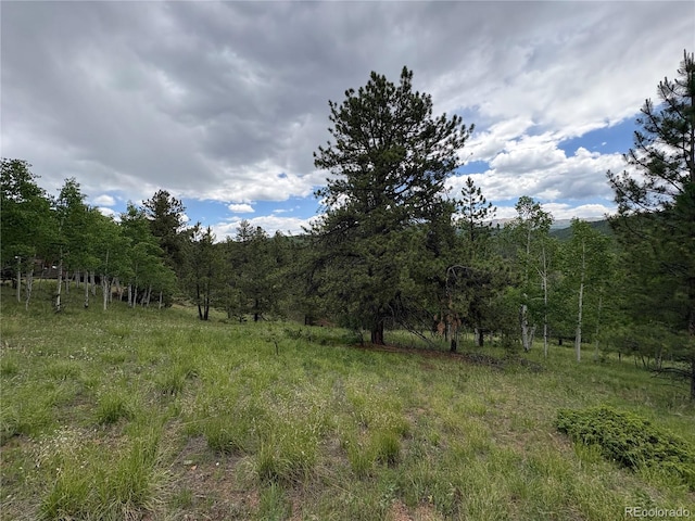 532 May Queen Dr, Cripple Creek, CO 80813