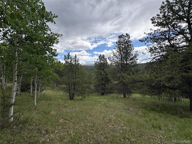 532 May Queen Dr, Cripple Creek, CO 80813