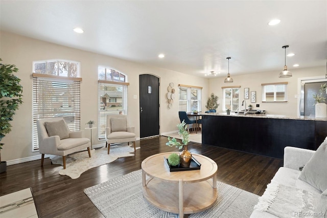 living room featuring dark hardwood / wood-style floors and sink