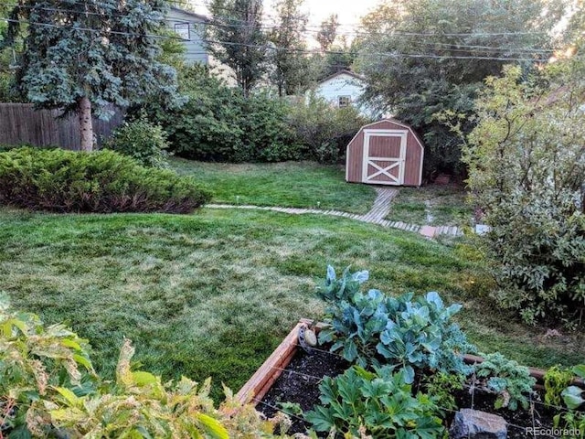 view of yard featuring a shed