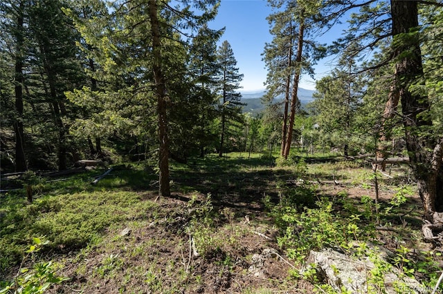 11698 Nichols Way, Conifer CO, 80433 land for sale