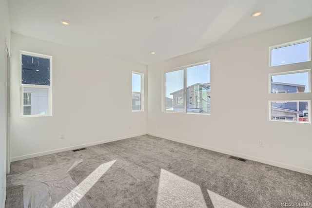 spare room featuring light colored carpet and plenty of natural light