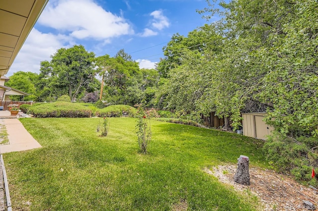 3724 S Poplar St, Denver, CO 80237 - view of green lawn featuring a storage shed