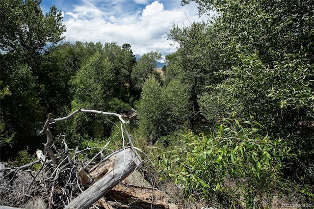 27835 County Road 301, Buena Vista, CO 81211