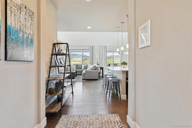 hall featuring dark hardwood / wood-style floors