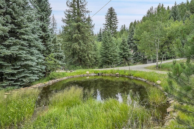 view of local wilderness featuring a water view