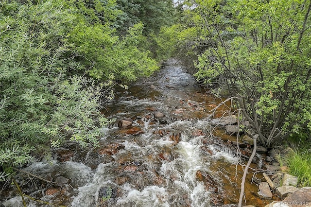 1774 Upper Bear Creek Rd, Evergreen, CO 80439 - view of wooded area