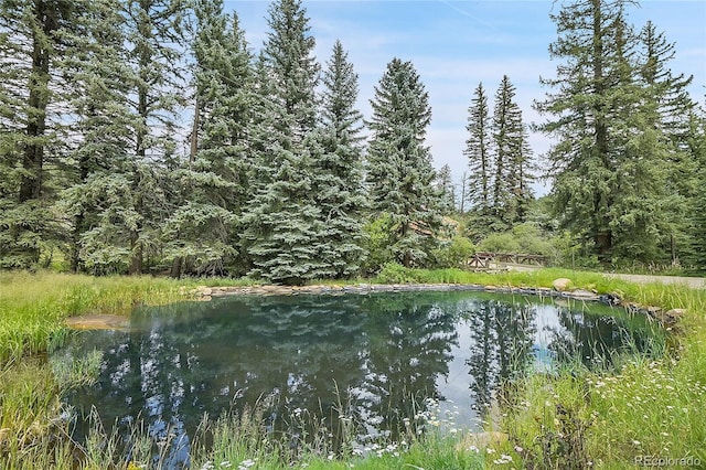1774 Upper Bear Creek Rd, Evergreen, CO 80439 - water view with a forest