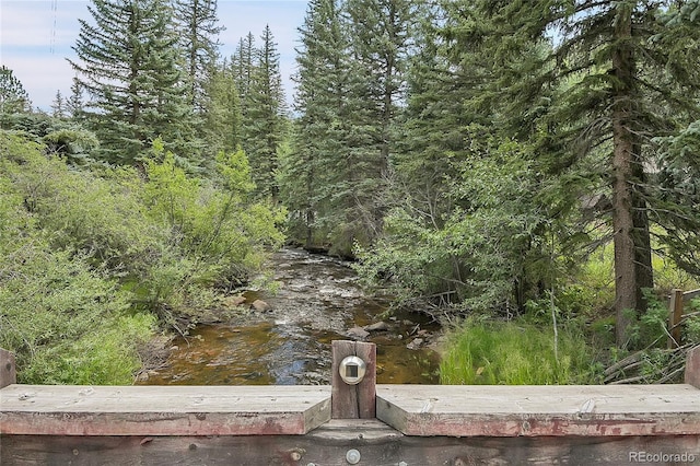 1774 Upper Bear Creek Rd, Evergreen, CO 80439 - dock with a forest view