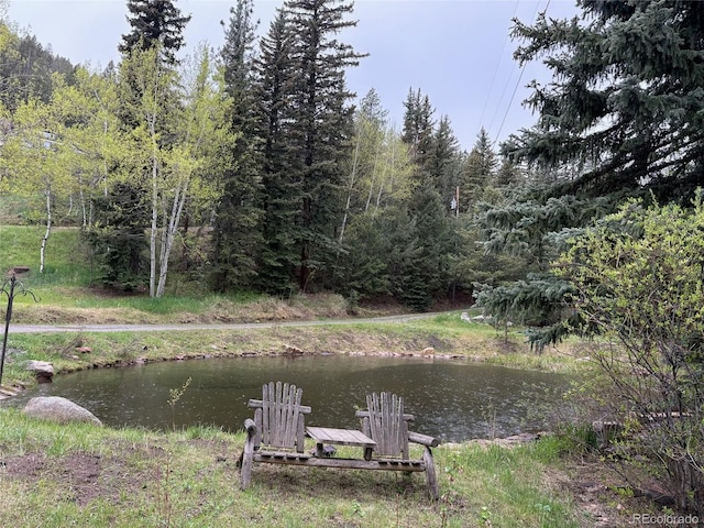 1774 Upper Bear Creek Rd, Evergreen, CO 80439 - dock with a wooded view
