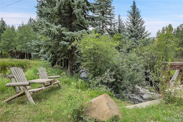 1774 Upper Bear Creek Rd, Evergreen, CO 80439 - view of yard