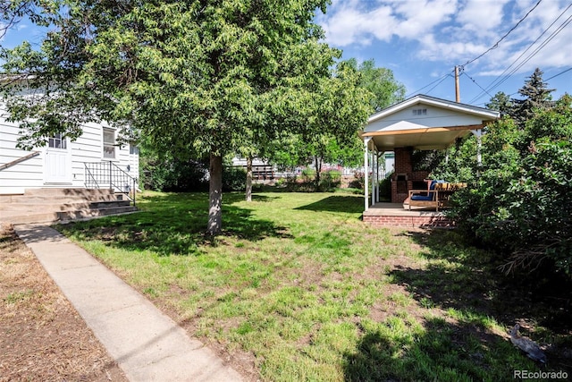 505 Maple St, Golden, CO 80403 - view of green lawn