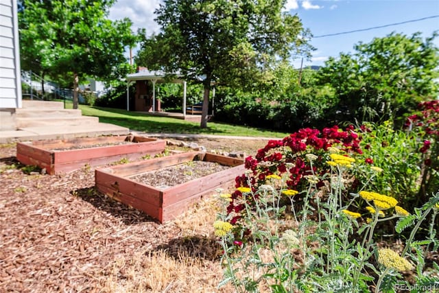 505 Maple St, Golden, CO 80403 - view of yard featuring a vegetable garden