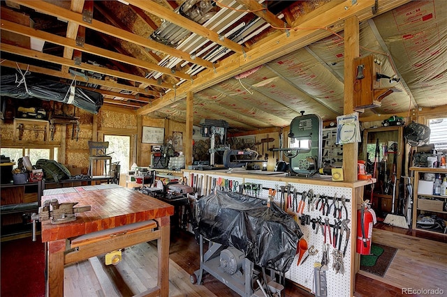80 Meadow Ln, Bailey, CO 80421 - misc room featuring a workshop area, wood finished floors, and healthy amount of natural light