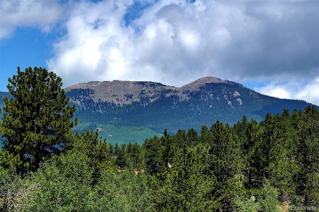 80 Meadow Ln, Bailey, CO 80421 - view of mountain background with a forest