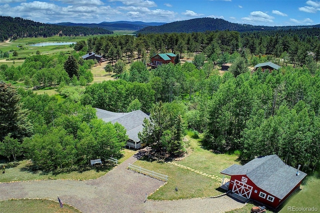 80 Meadow Ln, Bailey, CO 80421 - bird's eye view of a forest and a water and mountain view