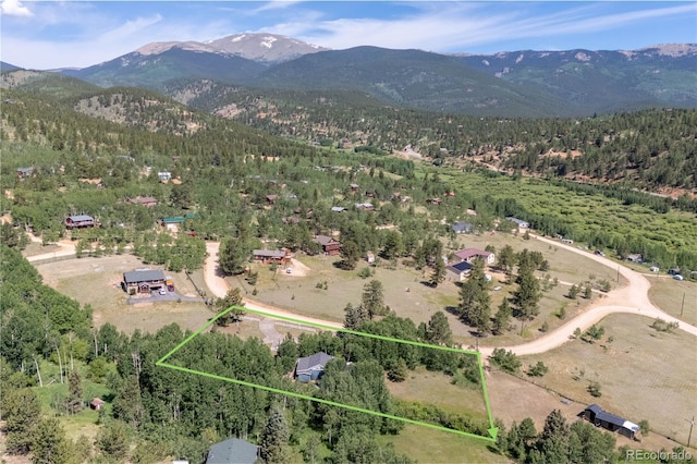 80 Meadow Ln, Bailey, CO 80421 - photo 49