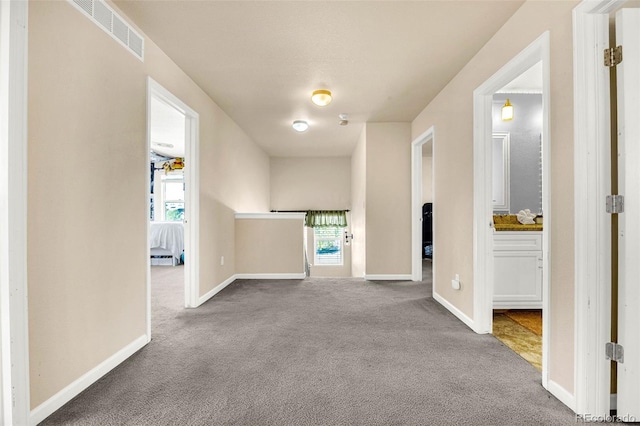 8004 Brittinger Way, Colorado Springs, CO 80951 - hall featuring carpet flooring and plenty of natural light