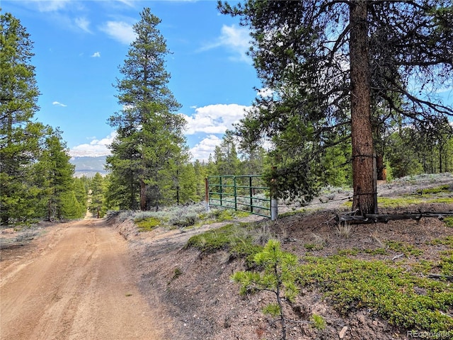 160 Ponderosa Dr, Twin Lakes, CO 81251 - photo 1
