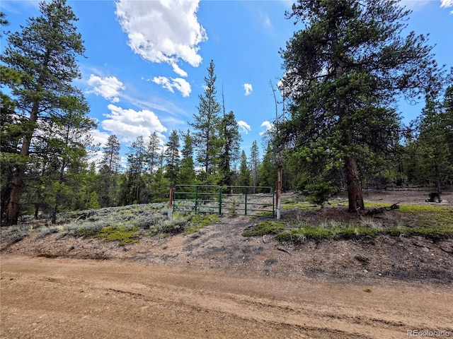 160 Ponderosa Dr, Twin Lakes, CO 81251 - photo 2