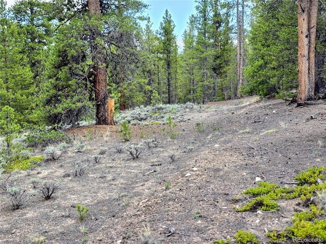 160 Ponderosa Dr, Twin Lakes, CO 81251 - photo 3