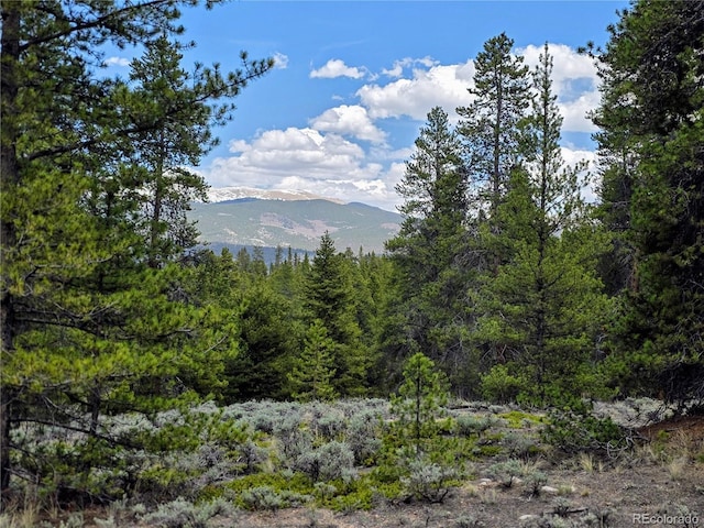 160 Ponderosa Dr, Twin Lakes, CO 81251 - photo 4