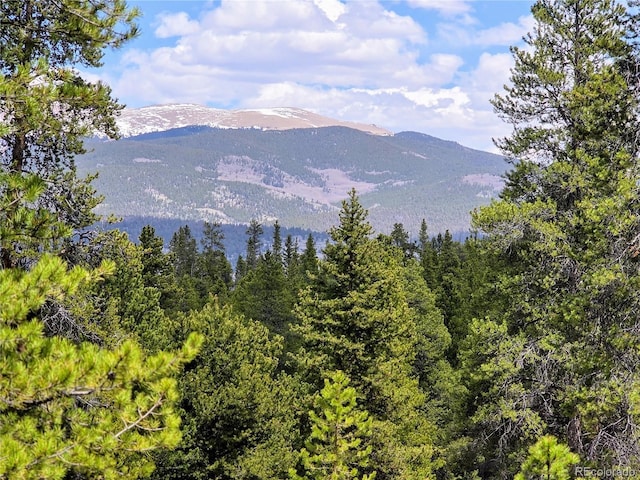 160 Ponderosa Dr, Twin Lakes, CO 81251 - photo 5
