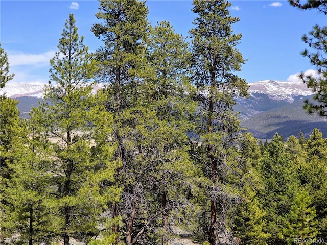 160 Ponderosa Dr, Twin Lakes, CO 81251 - photo 6