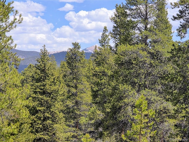 160 Ponderosa Dr, Twin Lakes, CO 81251 - photo 7