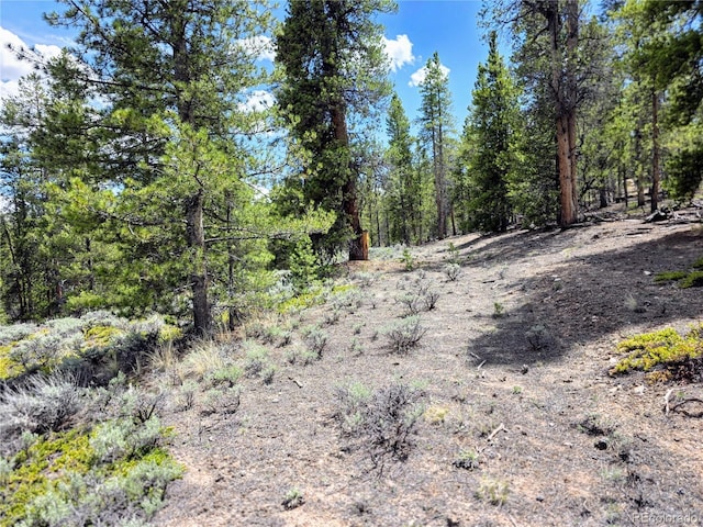 160 Ponderosa Dr, Twin Lakes, CO 81251 - photo 8