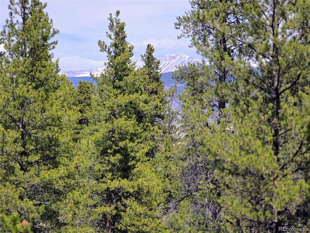 160 Ponderosa Dr, Twin Lakes, CO 81251 - photo 10