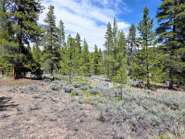 160 Ponderosa Dr, Twin Lakes, CO 81251 - photo 11