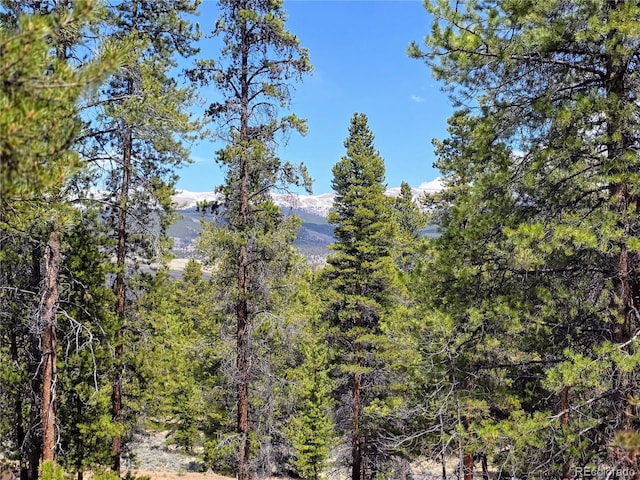 160 Ponderosa Dr, Twin Lakes, CO 81251 - photo 12