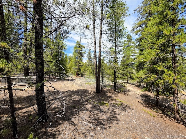 160 Ponderosa Dr, Twin Lakes, CO 81251 - photo 15